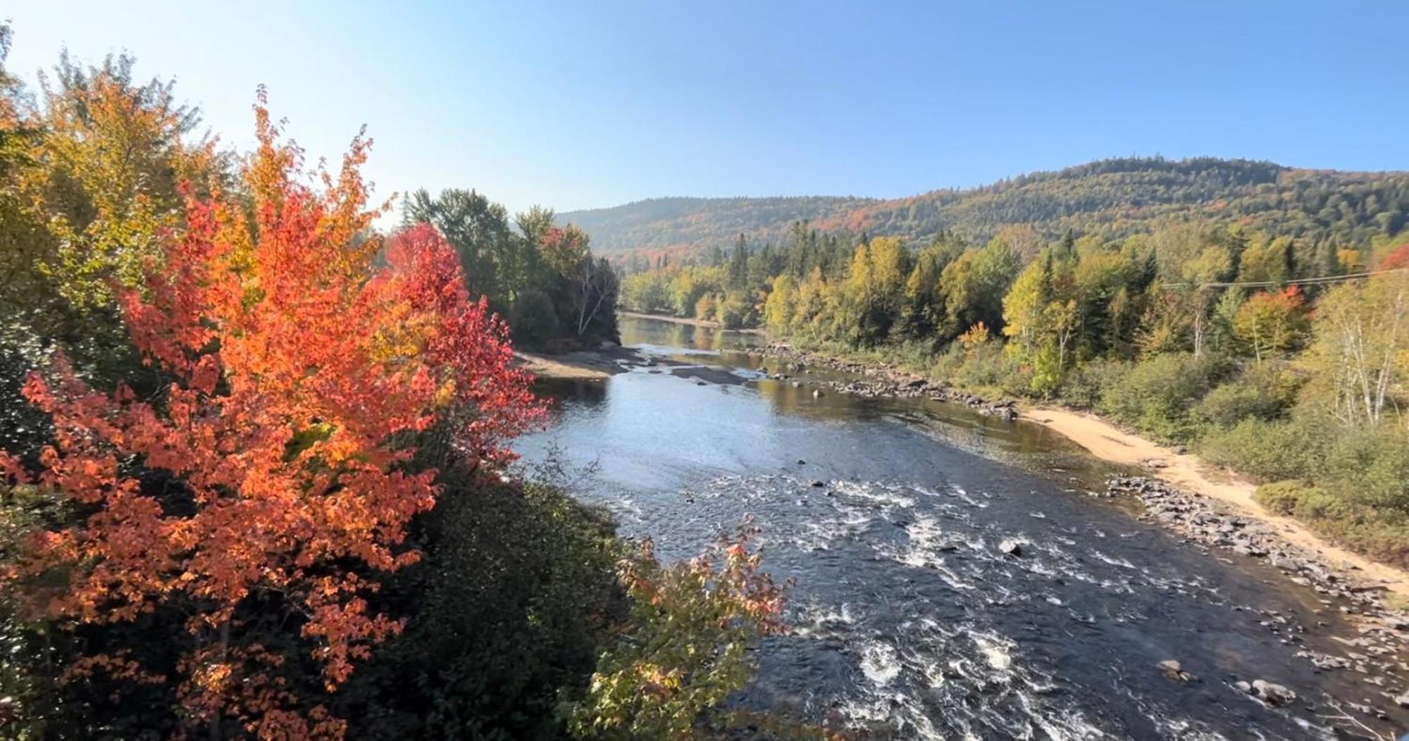 Le Refuge Du Repaire Villa Saint-Alexis-des-Monts Eksteriør billede